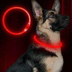 Led Dog Co