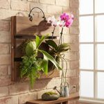 Dranvosk Staghorn Fern Mounting Board Kit Wooden Wall Planter Hanging Plant Holder for Vertical Plant,Platycerium,Orchids,Succulents(Square)