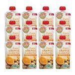 Earth's Best Organic Baby Food Pouc