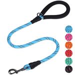 VIVAGLORY Strong Rope Dog Lead, 120CM Walking Training Leash Lead for Medium Large Dogs That Pull, Thick Neoprene Padded Handle and Highly Reflective Threads, Blue