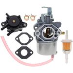 AUTOKAY 1018059-01 Carburetor for Golf Cart DS Precedent FE350 1998-Up, 1035245-01 Carb with Fuel Filter