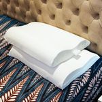 ORGANIC SLEEP Contour Pillow, 100% Natural Latex, Size 24x16 Inch, Thickness 3/4", Density 45, Orthopedic Support for Neck, Cervical Pain Relief, Pack of 2 with Cotton Cover