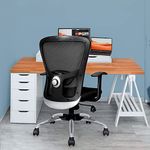 Task Chairs With Height Adjustable