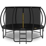 CalmMax 10FT/305CM Trampoline with Enclosure Net Ladder Indoor/Outdoor Trampoline for Kids Toddler