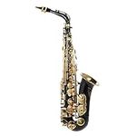 summina Eb Alto Saxophone Brass Lac