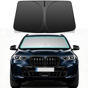 Windshield