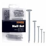 Masonry Nails Heavy Duty Panel Pins with Box Hardware Assorted Nails Set for Repair DIY Hanging Pictures Frame Woodwork Furniture and Construction Home Accessories Approximately (Pack of 250)