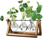 Plant Terrarium with Wooden Stand, Air Planter Bulb Glass Vase Metal Swivel Holder Retro Tabletop for Hydroponics Home Garden Office Decoration - 3 Bulb Vase