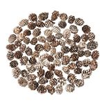 100 Pcs Natural Mini Pine Cones with White Paint Christmas Snow Pine Cones Ornaments Pine Cones Bulk for Home Party Crafts Gift Wedding Christmas Tree Winter Decoration