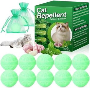 10Pack Cat