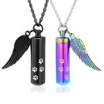 shajwo Cremation Jewelry Paw Print Urn Necklace for Ashes for Men Women Cylinder Memorial Urn Human Pet Pendant,Rainbow+Black