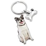 Personalized Dog Urn Keychain Custom Ashes Key Chain Cylinder Cremation Pet Memorial Key Ring Dog Photo Keepsake Jewelry (Colorful Photo)