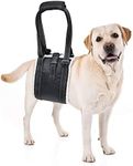 Adjustable Dog Lifting Harness with