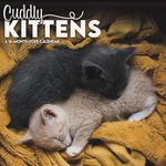 2025 Cuddly Kittens Wall Calendar