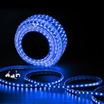 Errol led Strip Lights Waterproof led Rope Light Energy Saving Strip Lights for Room | led Strip Light for False Ceiling | Home Decor Lights | Home Decoration | Diwali | Christmas(50 Meter, Blue)