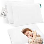 Toddler Pillow 2 Pack with Pillowca