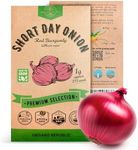 Onion Red 