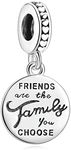 Annmors Jewelry Friends are Family Dangle Charms for Bracelets, 925 Sterling Silver-Lucky Charm for Woman Pendant Bead,Jewelry Beads Gifts for Women Bracelet&Necklace