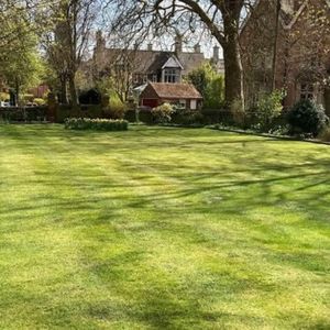 Boston Seeds Fast Growing Grass Seed, Hard Wearing – 10kg Eco Lawn