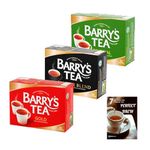 Barrys Tea Bags Tea Selection Bundle (3 Pack) with Barrys Tea Gold Blend, Master Blend and Irish Breakfast Including Mint Retail Perfect Brew Guide