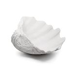 Accessoryway Large White Sea Shells Decorative Bowl Resin Clam Shell Bowl Beach Decorations for Home Coastal Beach Decor Decoration Storage Bowls & Home Office Nautical Themed Party Decor -10.2"-1PC