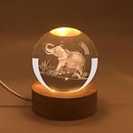 3D Elephant Crystal Ball Plug in Night Light,60mm Animal Glass Ball Lamps with Control LED Wooden Base,3D Engraved Crystal Ball Lamps Ornament Home Decor, Gift for Christmas Kids Friends Family