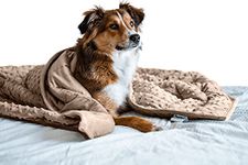 Nappy Puppy - Weighted Dog Blanket | Specially Designed for Anxious Dogs | Extra Comfortable | Premium Minky Fabric | Hypoallergenic Glass Beads | Brown | Medium 4 lb