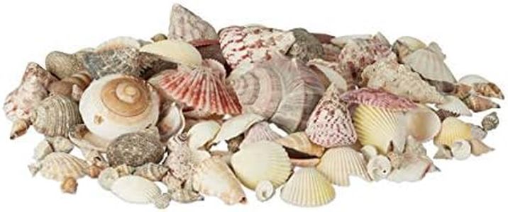 Relaxdays Mélange de coquillages coquilles de mer 1kg filet décoration maritime, coloré