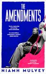 The Amendments: the instant Irish bestseller about one family through the generations