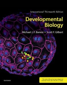 Developmen
