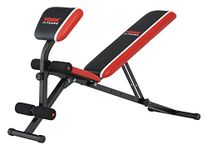York Fitness Warrior 2 in 1 Dumbbell and Ab Bench with Arm Curl Pad