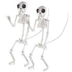 Monkey Halloween Animal Skeleton (2 Pack) - 20" Long - Weather Resistant Outdoor Yard Cemetery Lawn Decorations or Indoor Decor - Spooky Graveyard Prop for Haunted House Party