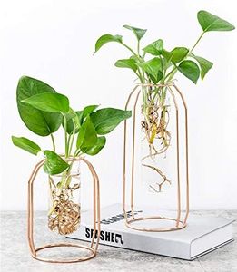 Kingrol 2 Pack Planter Terrariums with Metal Stand, Tabletop Glass Plant Propagation Station for Hydroponic Plants, Test Tube Flower Bud Vase, Home Office Wedding Party Decor