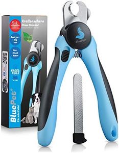BluePet Co