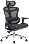 SIHOO Doro C300 Ergonomic Office Chair with Ultra Soft 3D Armrests, Dynamic Lumbar Support for Home Office Chair, Adjustable Backrest Desk Chair, Swivel Big and Tall Computer Chair Black