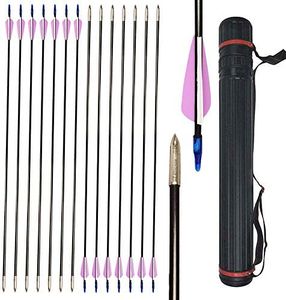 ZSHJGJR 12 Pieces 30 Inch Fiberglass Arrow Archery Practice Target Arrows 6mm Fun Game Arrows with Arrow Quiver for Beginner Recurve Compound Bow (Purple Arrow+Quiver)