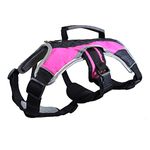 Dog Weight Vest For Pitbulls