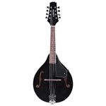 Kadence Acoustic Mandolin Black, A style, F Holes, 8 strings.