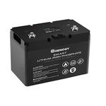 Renogy 12V 100Ah Lithium LiFePO4 Deep Cycle Battery,4000+Deep Cycles,Built-in BMS,FCC&UL Certificates,Backup Power Perfect for RV,Marine,Off-Grid System,Maintenance-Free