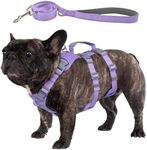 Wuffley Escape Proof Dog Harness an
