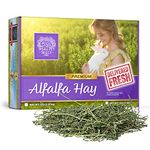 SMALL PET SELECT Alfalfa Hay - 10lb (4.54kg)