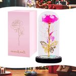 Hot Pink Galaxy Rose for Her,Light Up Rose Flowers Gifts for Women Mom Girl Wife Lover Daughter,Forever Light Up Rose in Glass Dome Rose Lamp Eternal Rose for Valentines/Mothers Day Birthday Christmas