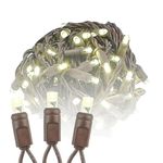 Novelty Lights 100 Light LED Christmas Mini Light Set, Outdoor Lighting Party Patio String Lights, Warm White, Brown Wire, 50 Feet