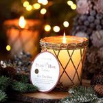 Park Hill Collection XNP10007 Best Tree Ever Willow Candle