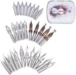 SIPLIV 30 Pcs Stainless Steel Comic Pen Nib Calligraphy Pen Nibs Dip Pens Nibs Set, Manga Nibs Fountain Pen Nibs Replacements with Steel Storage Box (Violin)