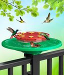 Hummingbird Feeders for Outdoors, B