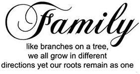 Family Like Branches on a Tree Wall