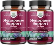 Soy Free Menopause Supplement for Women - Herbal Menopause Support for Night Sweats Hot Flashes Mood Support and Hormone Balance for Women with Black Cohosh & Vitex Chaste Berry - Mini Caps (2 Pack)