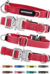 SparklyPets Extra Small Dog Collar with Quick Release Chrome Buckle & AirTag Holder – Premium Small Breeds Collars with Reflective Stripes & Soft Lining for Female & Boy Dogs