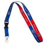 Desert Cactus Iceland Lanyard Car Keys ID Badge Holder Keychain Flag Souvenir Detachable Breakaway Snap Buckle (Lanyard), Multicolored, 1.5 feet